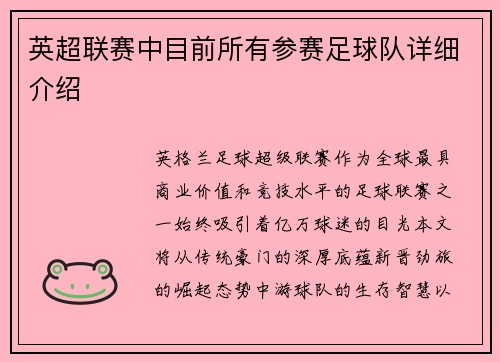 英超联赛中目前所有参赛足球队详细介绍
