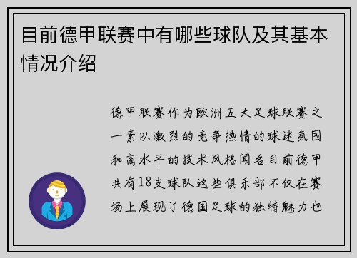 目前德甲联赛中有哪些球队及其基本情况介绍